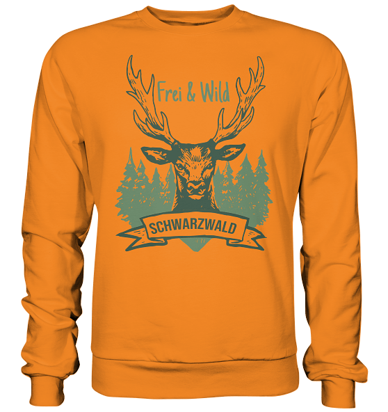 Front Basic Sweatshirt F18625 558x 1.png